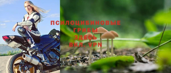 ПСИЛОЦИБИНОВЫЕ ГРИБЫ Баксан