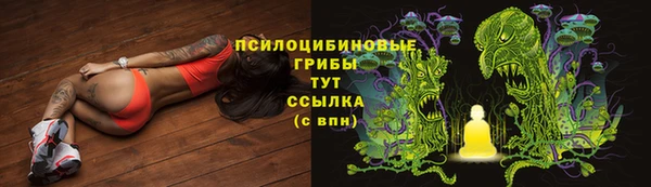 хмурый Балахна