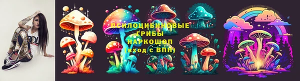 спиды Ельня