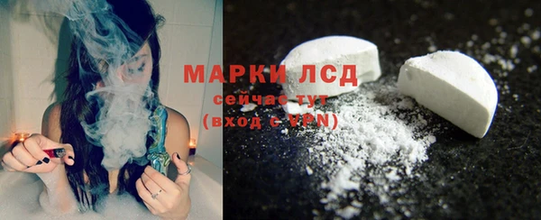 ПСИЛОЦИБИНОВЫЕ ГРИБЫ Баксан