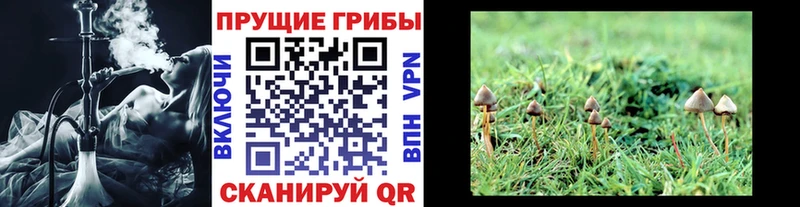 Галлюциногенные грибы Psilocybine cubensis  где можно купить наркотик  blacksprut онион  Верея 